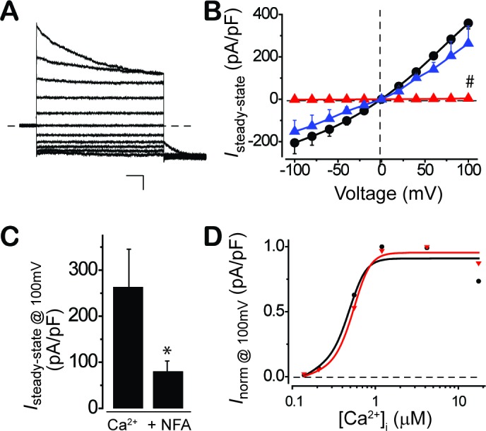 Figure 4—figure supplement 1.