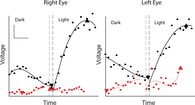 Figure 3—figure supplement 1.