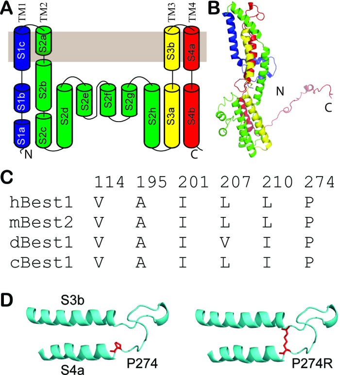 Figure 6—figure supplement 1.