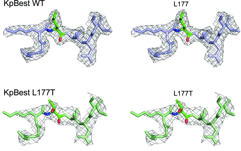 Figure 8—figure supplement 1.