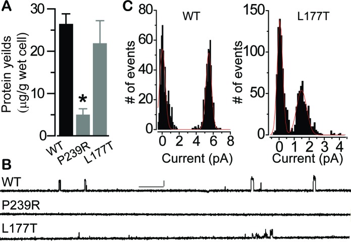 Figure 7.