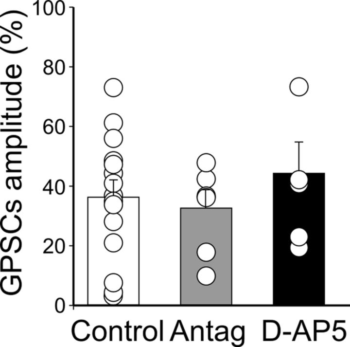 Figure 11.