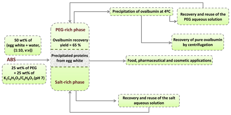 Fig. 11