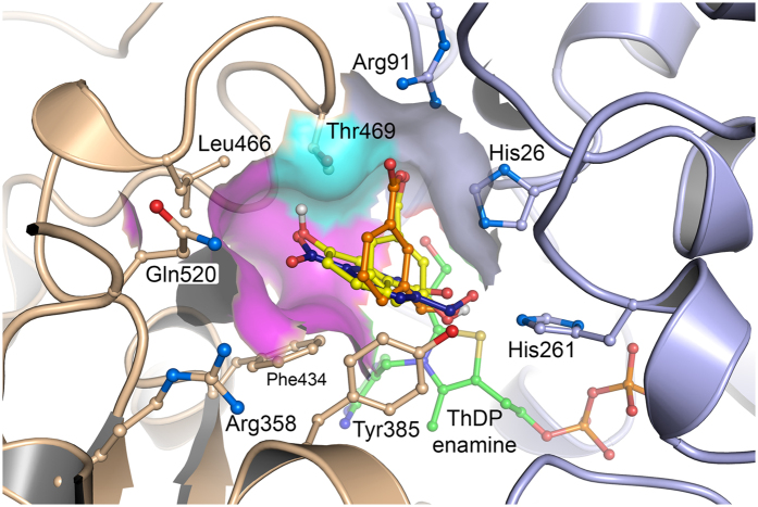 Figure 6