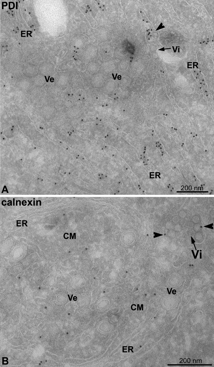 Figure 5