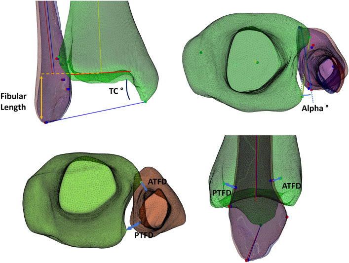 Figure 6