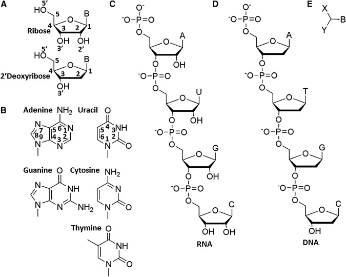 FIG. 1.