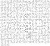 <b>FIG. 5.</b>