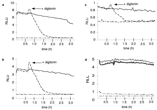 FIG. 3