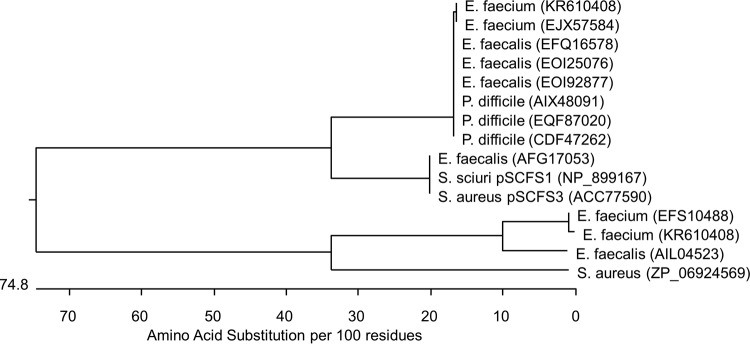 FIG 2