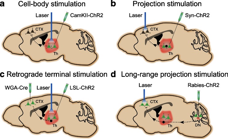 Fig. 2