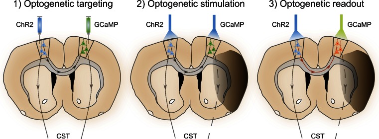 Fig. 3