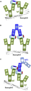 Fig 7
