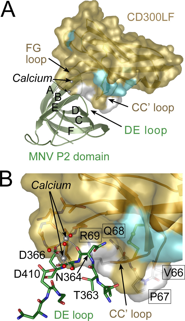 FIG 6