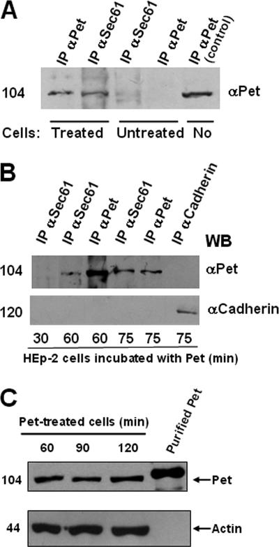 FIG. 7.