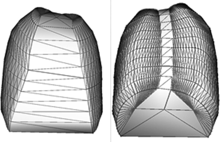 Fig. 1