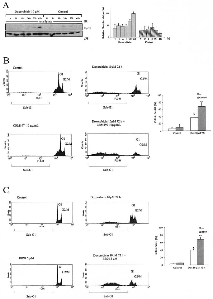 FIG. 7.