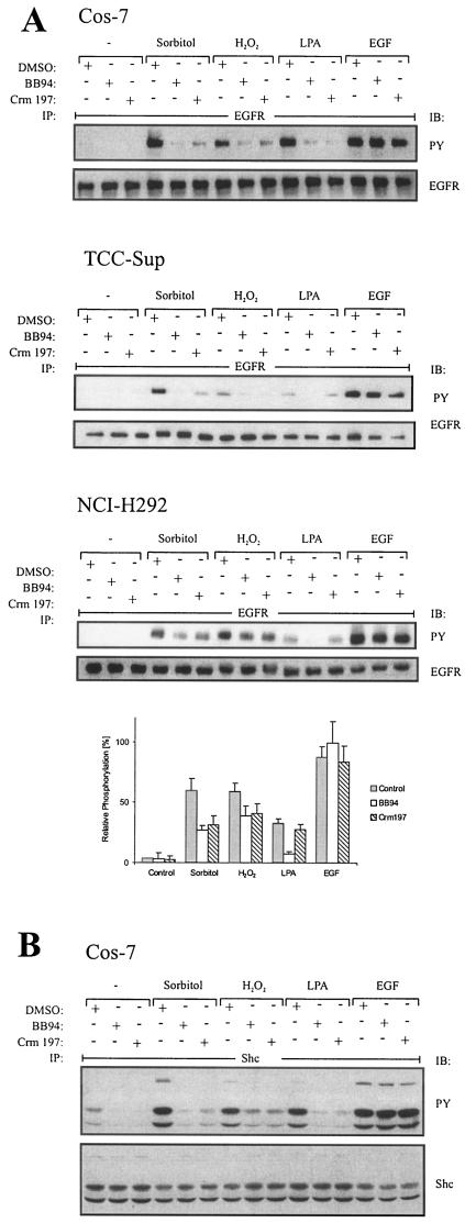 FIG.3.