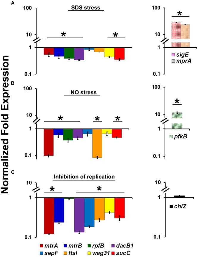 FIGURE 3