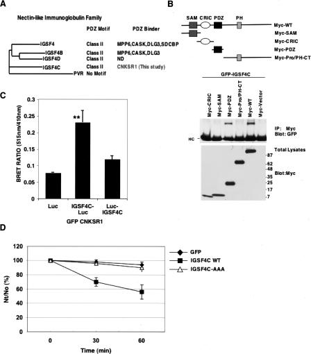 Figure 4.