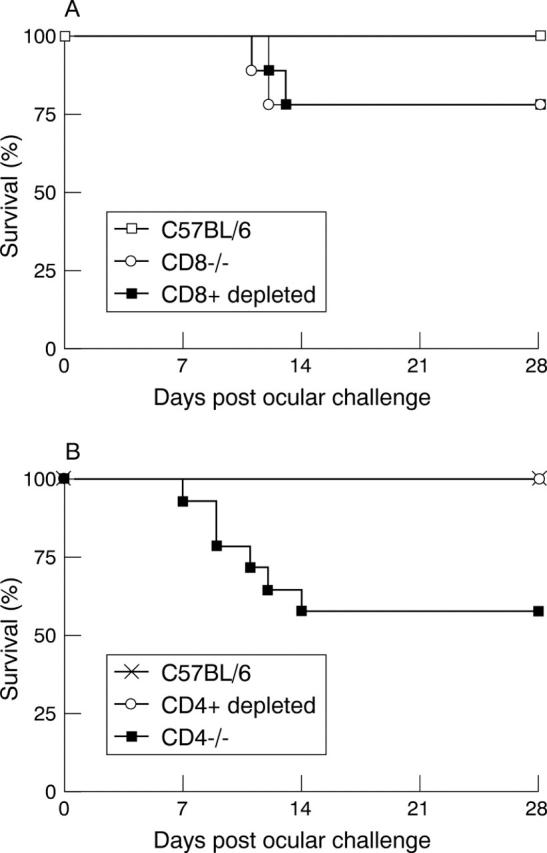 Figure 1  