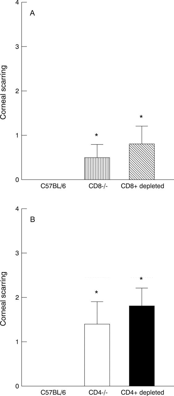 Figure 2  