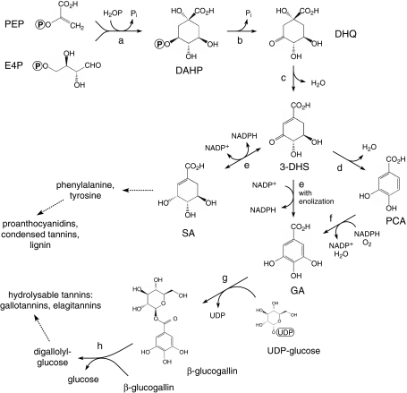 Fig. 1