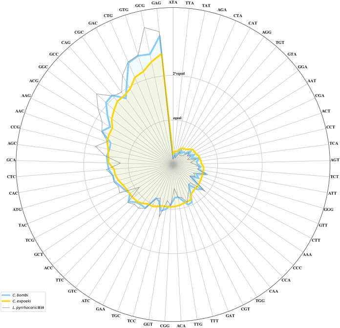 FIG 2