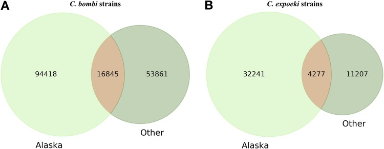 FIG 3