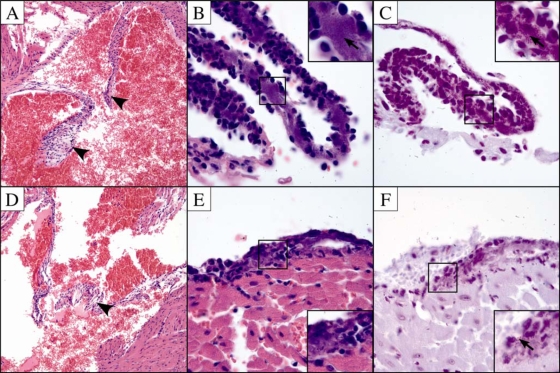 FIG. 7.