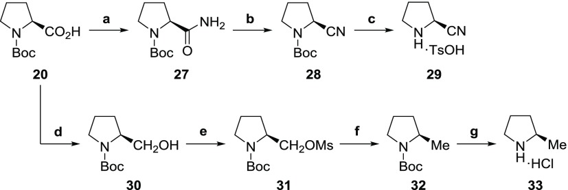 Scheme 5