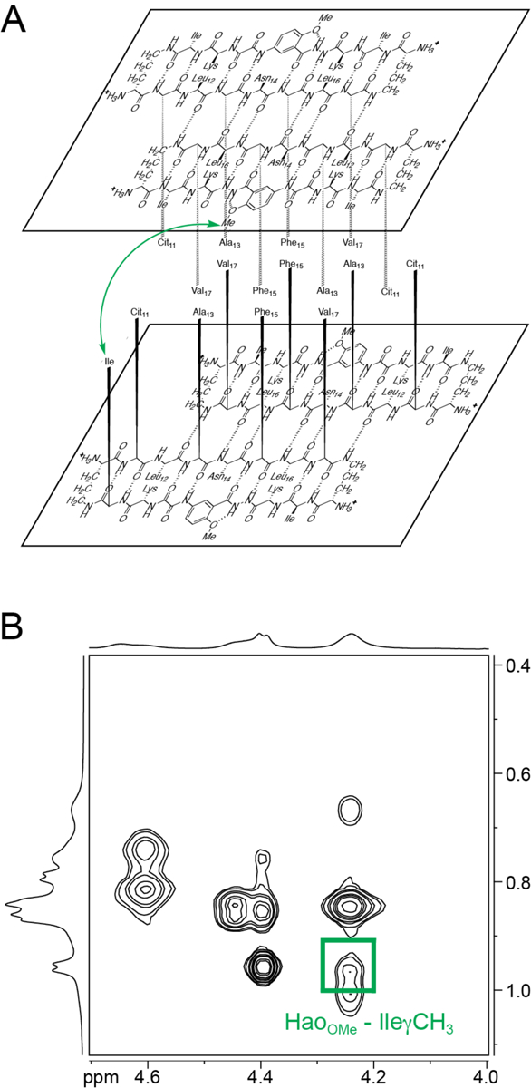 Fig 6.