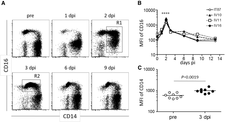 FIG. 4.