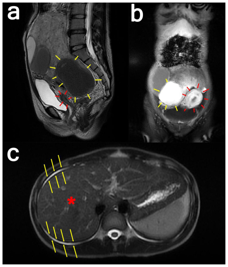 Figure 3: