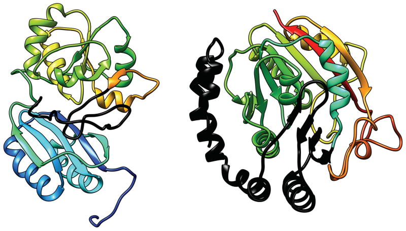 Fig. 8