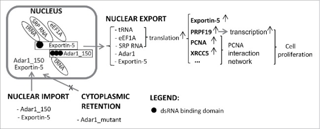 Figure 7.