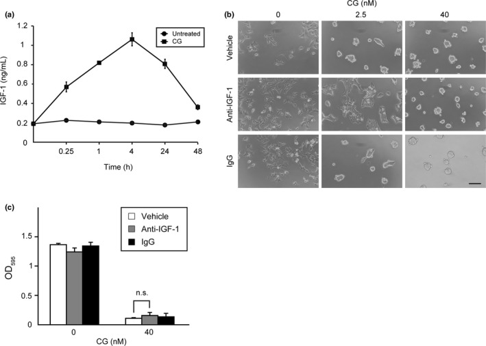 Figure 5