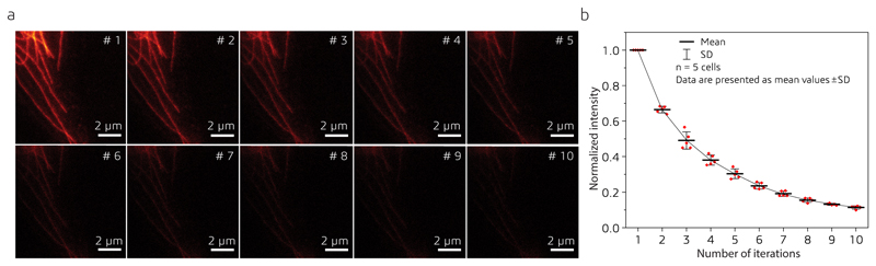 Extended Data Fig. 4