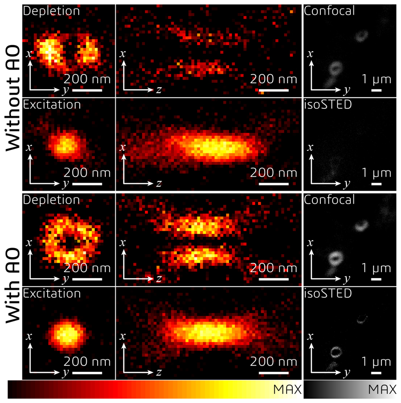 Extended Data Fig. 7