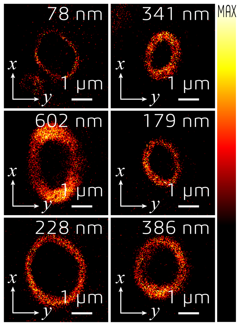 Extended Data Fig. 8