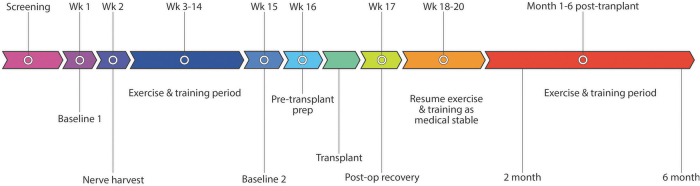 FIG. 1.