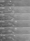 Figure 9.