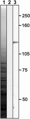 Figure 8.