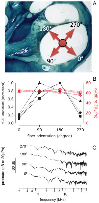 Fig. 10