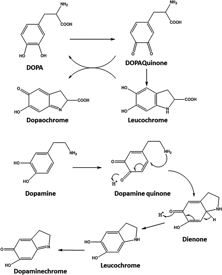 FIGURE 11