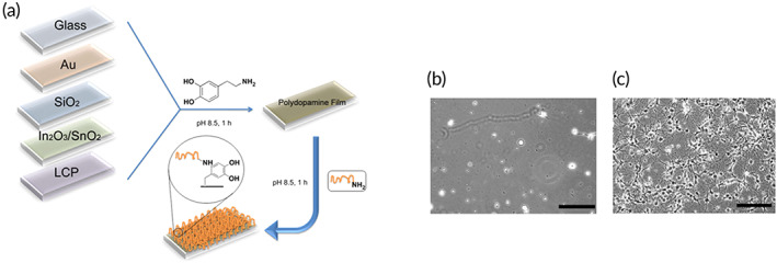 FIGURE 18