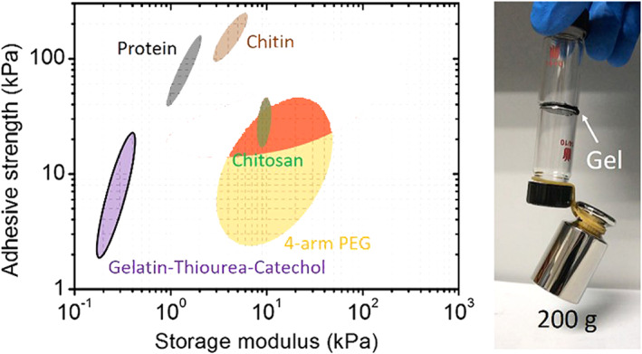 FIGURE 24