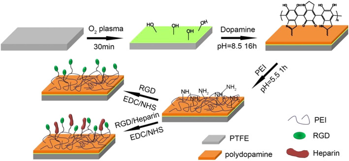 FIGURE 25