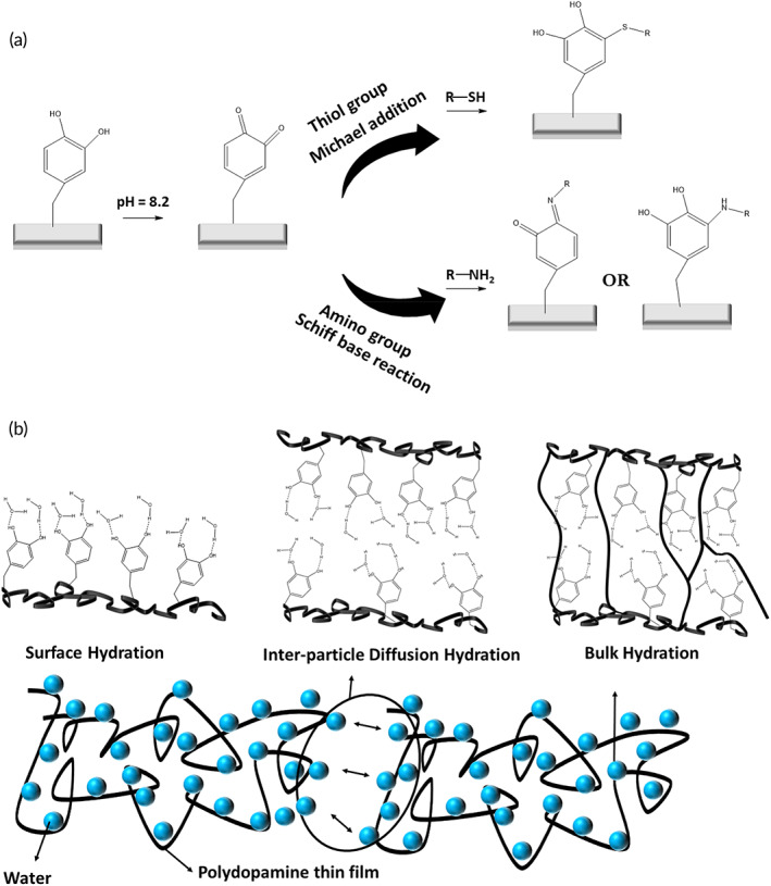 FIGURE 19