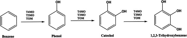 FIGURE 16